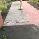 Kleine Moewe Neßmersiel