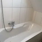 Kleine Moewe